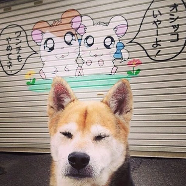 _勇士开启疯狂三分狂潮,无人能挡_,勇士狂风暴雨