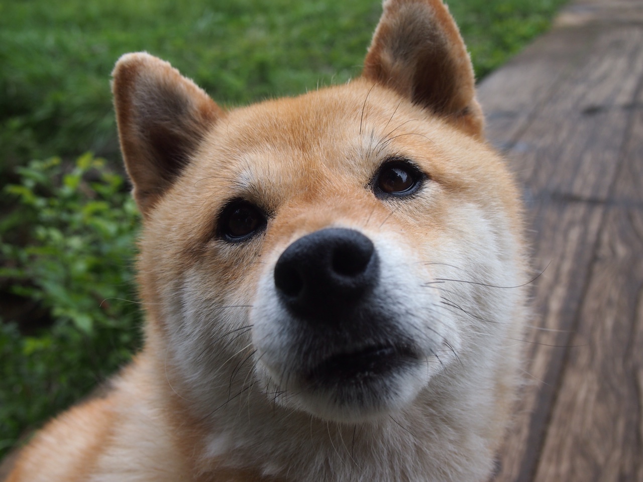 青少年“科技篮球”创新平台在南京正式成立,为青训提供新动力