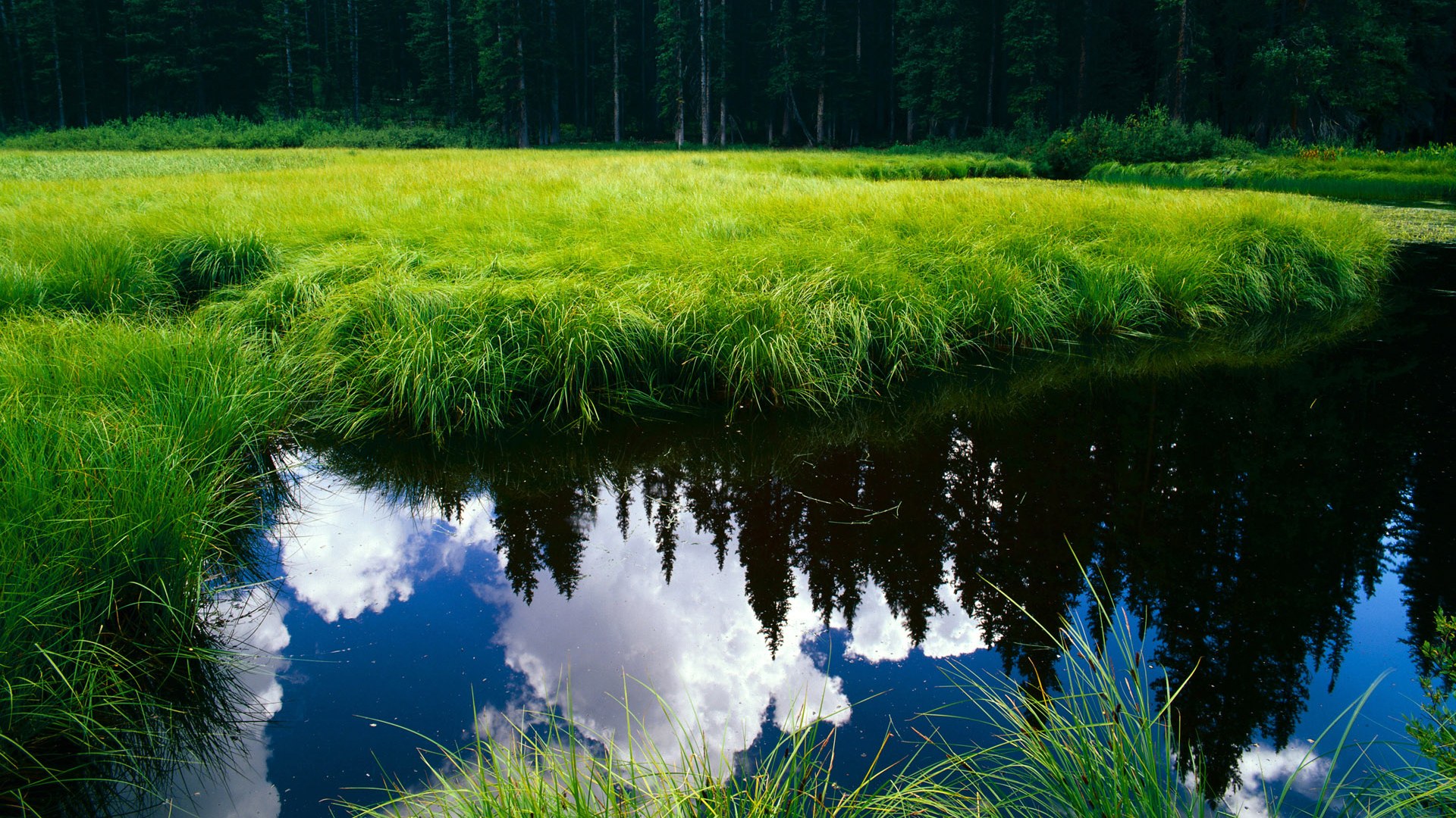 凯撒酋长球员合同到期,续约谈判进行中,凯撒踢球