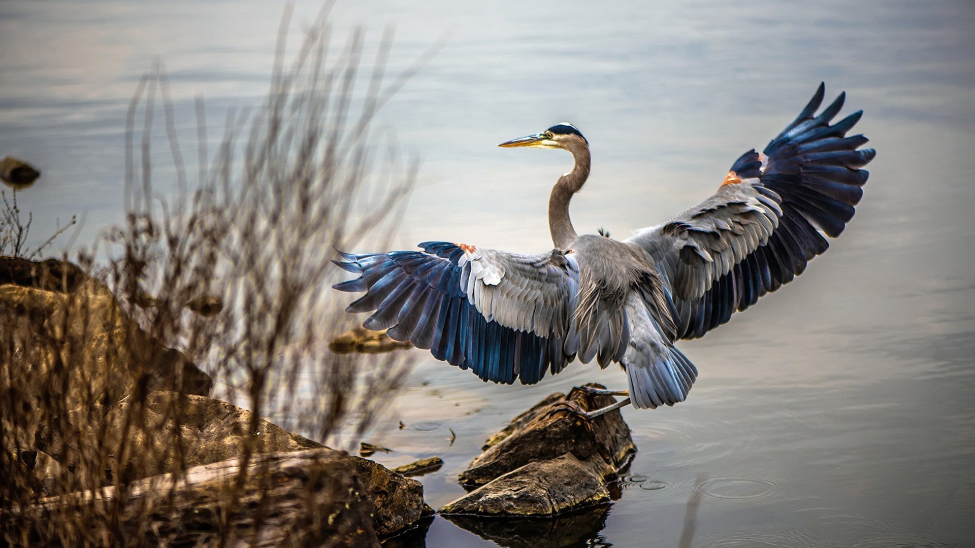 拜仁慕尼黑再展必胜,夺冠前景待定神秘迎临,拜仁慕尼黑全胜夺冠