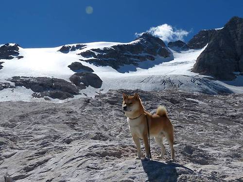 新晋升级赛双雄对决，谁能继续保持优势？，新晋升级赛双雄对决,谁能继续保持优势呢