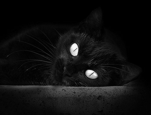 狂胜!摩纳哥轻取亚眠,重返胜利之路,摩纳哥资料