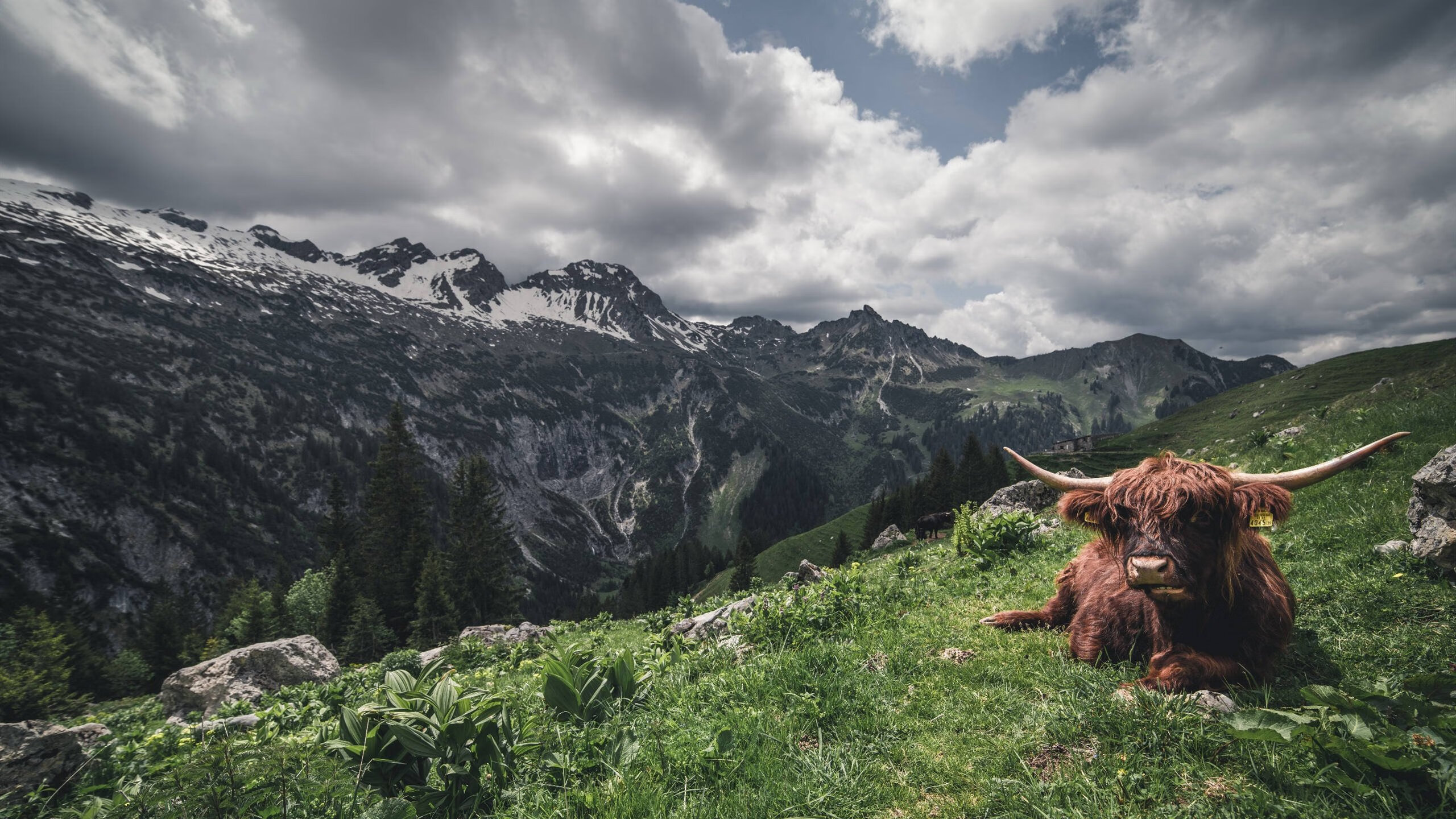 意甲球队基于多源数据构建个性化体能管理系统