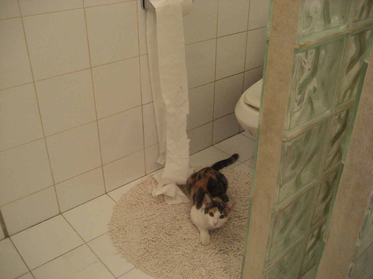 球员心理疏导过于依赖赛后总结，球员心理疏导过于依赖赛后总结的原因