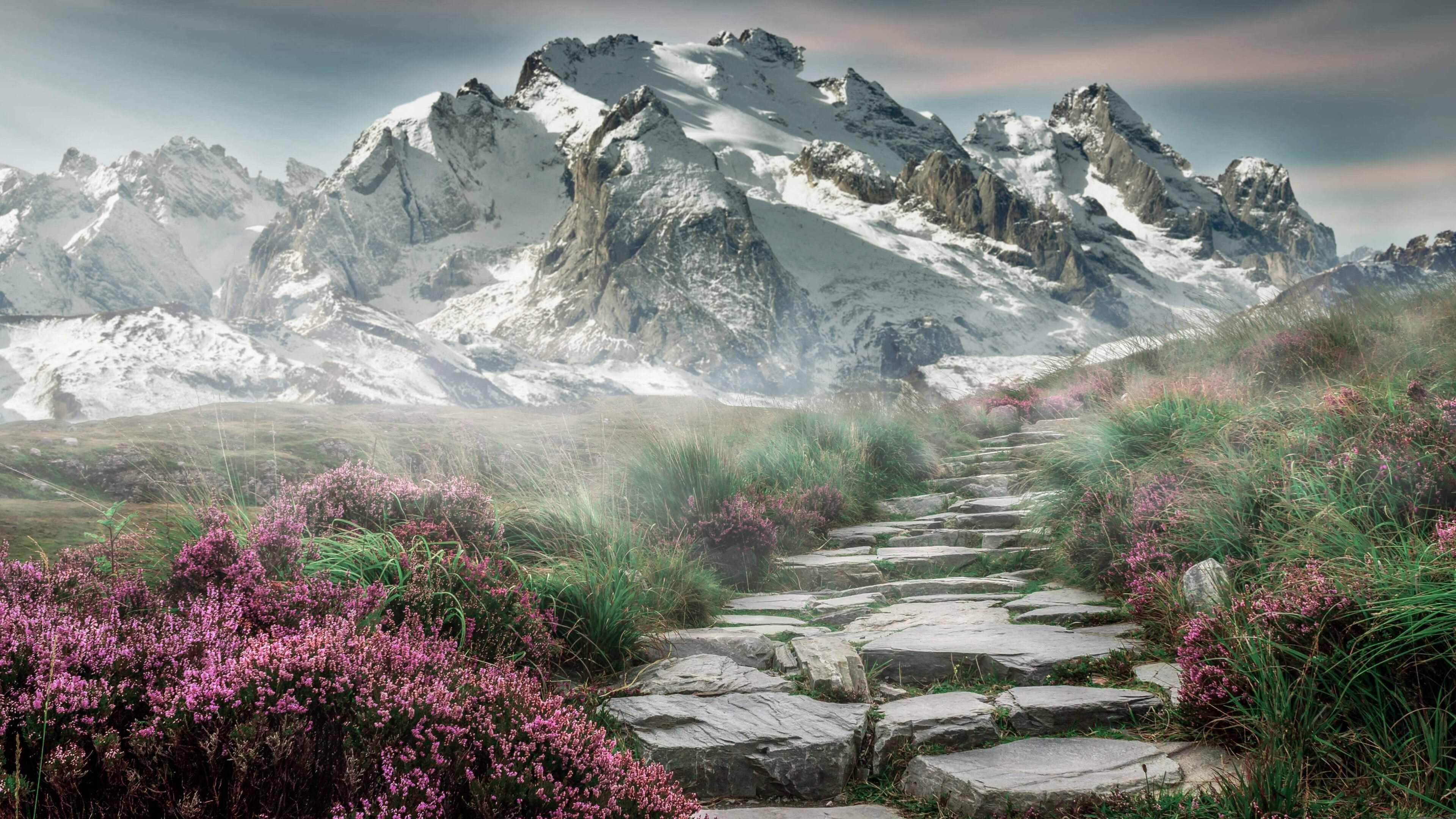 瑞典队的逆袭：2024年混合团体世界杯上的关键时刻，瑞典队2021