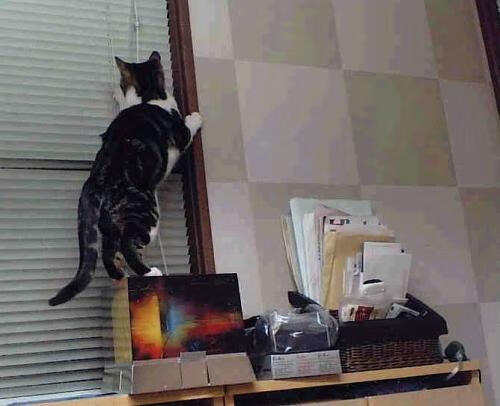 体育新闻中心转会传闻汇集,体育新闻 体坛快讯