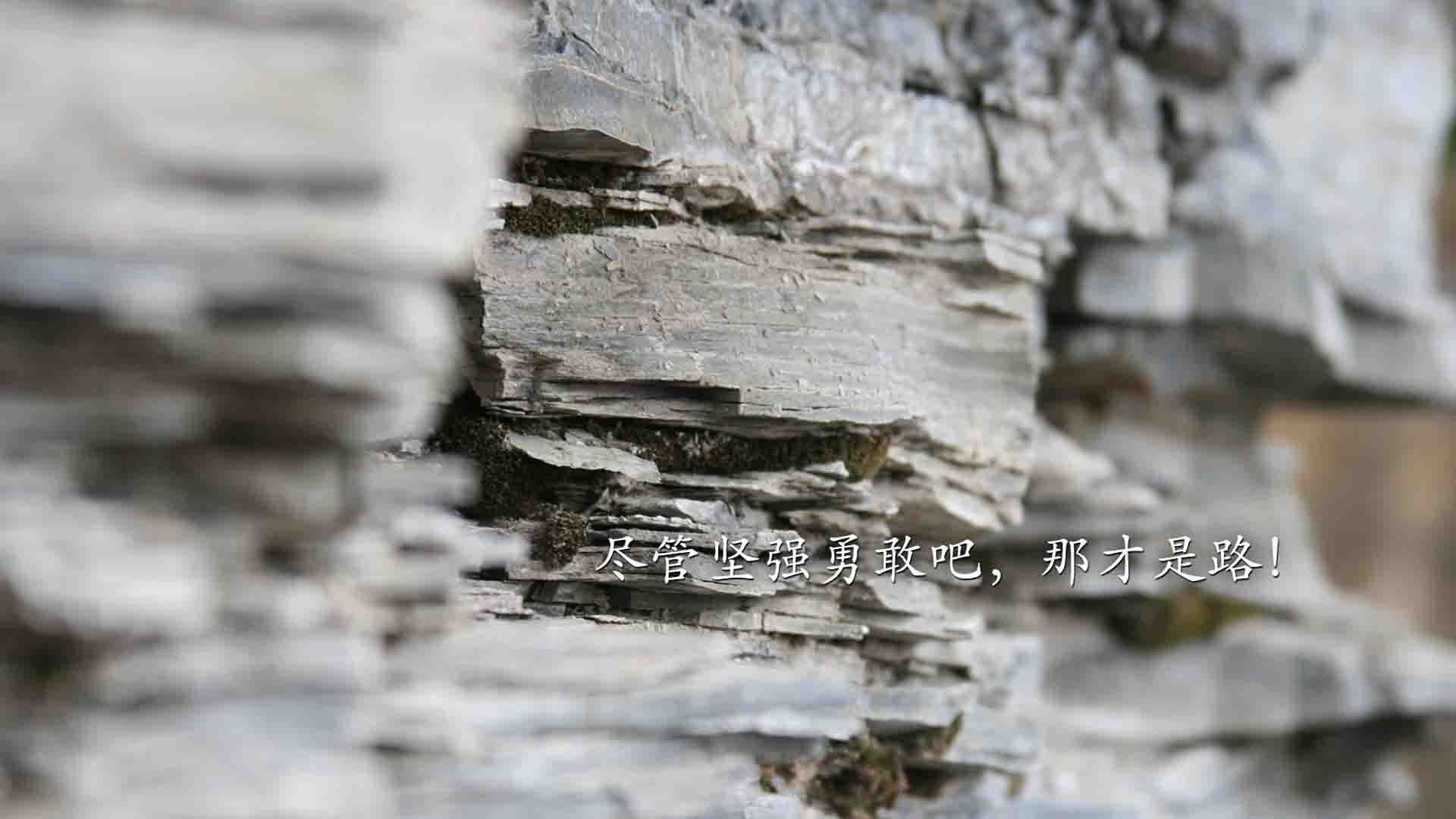 斯洛伐克男篮在欧洲赛场中奋力追梦，冲击更高荣誉目标，斯洛伐克男篮怎么样