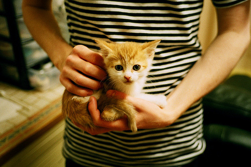 水球节奏控制奥地利主导全场,水球ooho