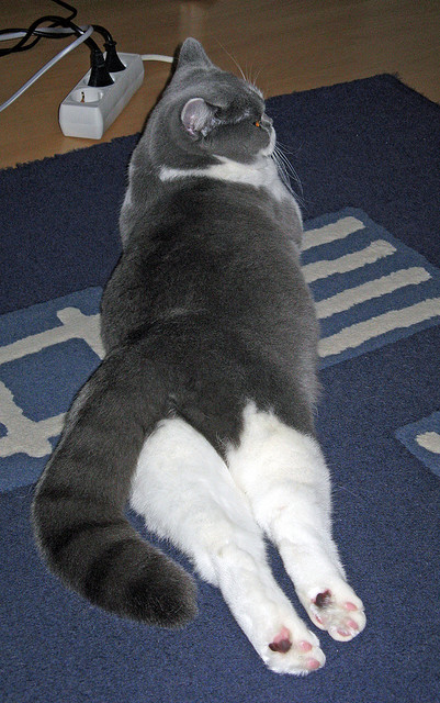 社交平台话题榜前十多条与比赛相关球迷热情讨论热度不减，社交互动平台